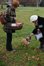 Kein Alt-Text hinterlegt.